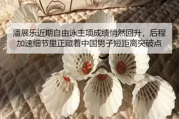pan-zhan-le-jin-qi-zi-you-yong-zhu-xiang-cheng-ji-qiao-ran-hui-sheng-hou-cheng-jia-su-xi-jie-li-zheng-cang-zhe-zhong-3-858.jpg